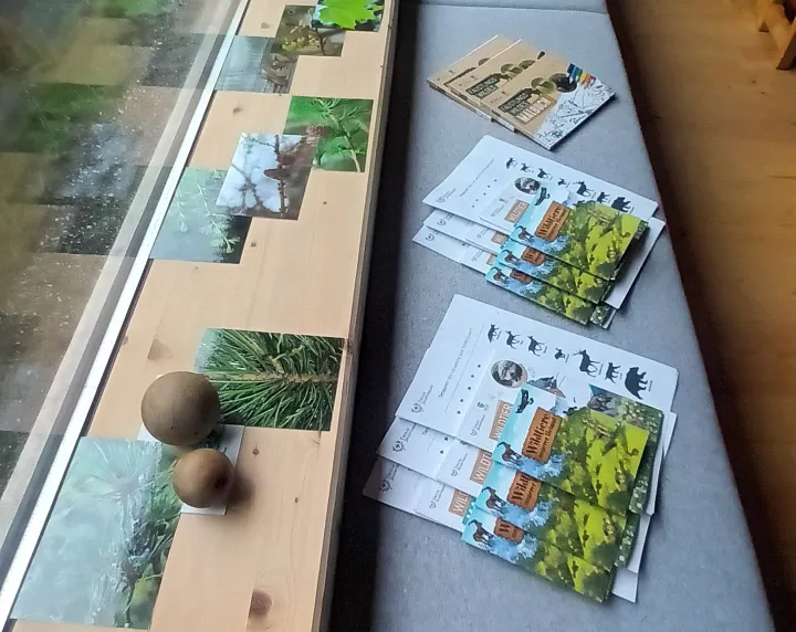 Naturwerkstatt im Steinbockzentrum