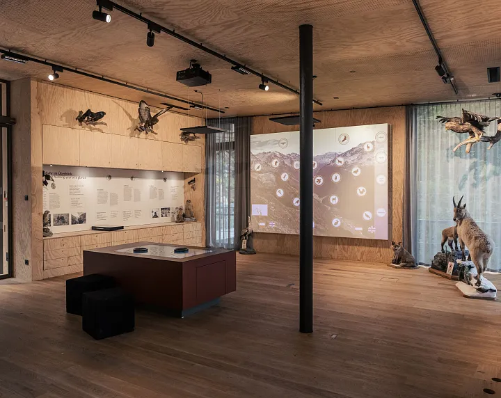 Ausstellung im Haus Weid(t)blick.