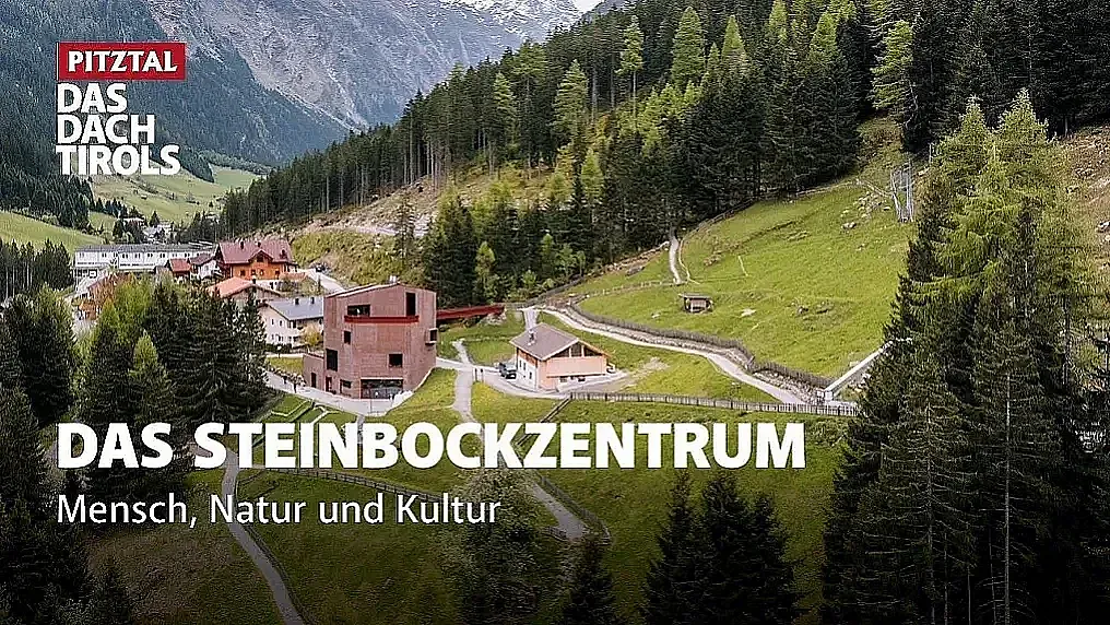 Das Tiroler Steinbockzentrum im Pitztal